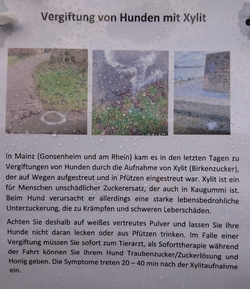 Giftköder-Weißes Pulver, Birkenzucker-Profilbild