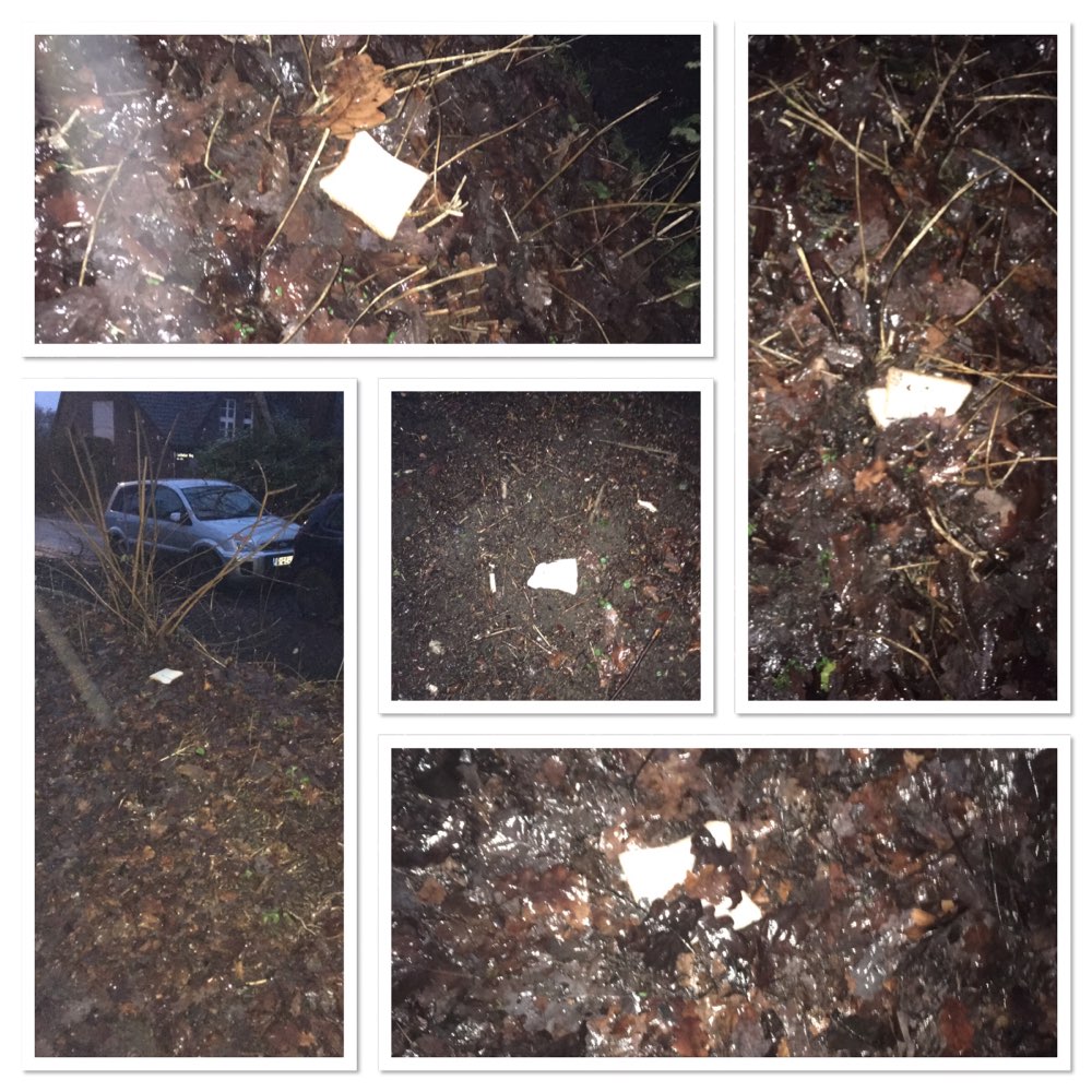 Giftköder-Evtl. Giftköder-Profilbild