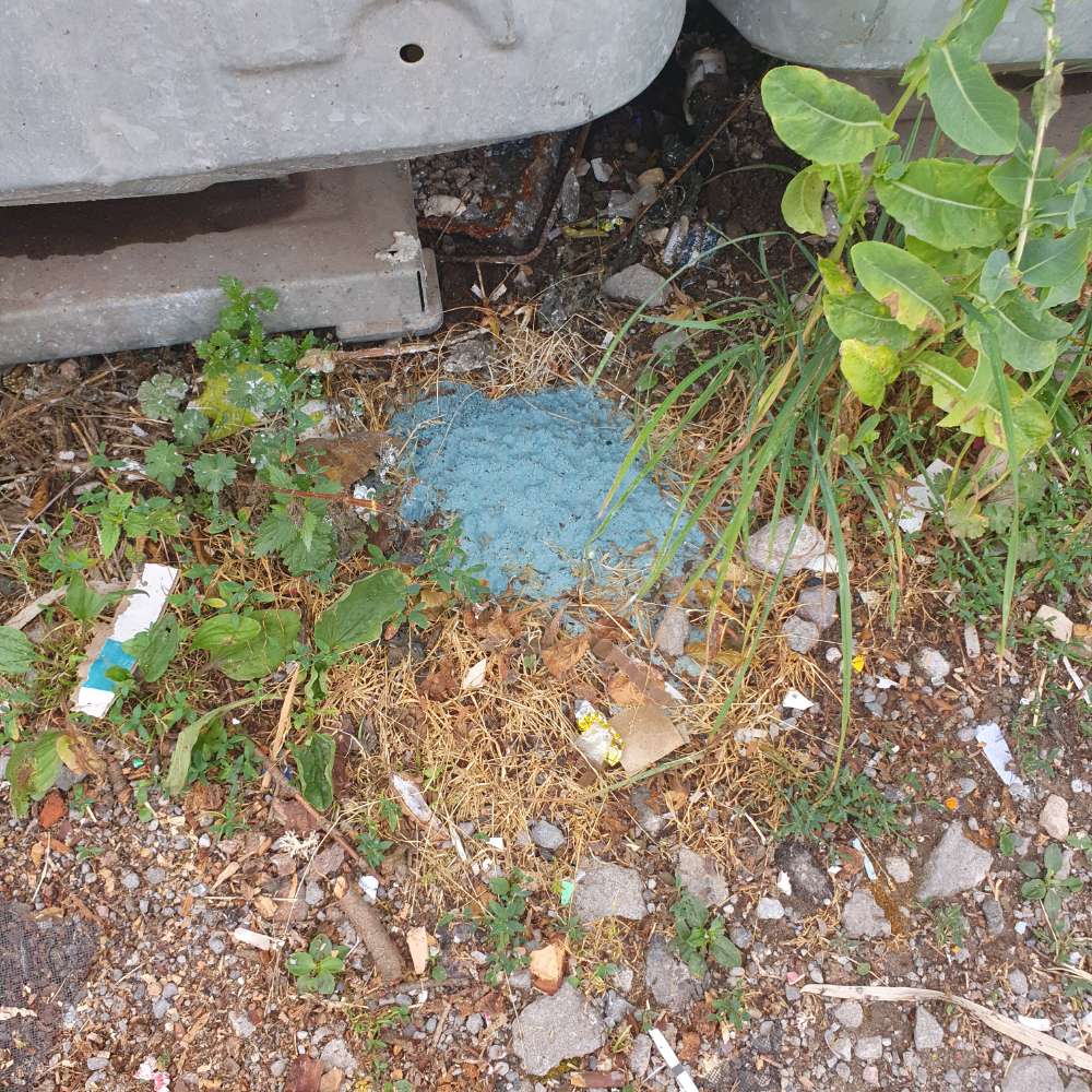 Giftköder-Rattengift-Profilbild