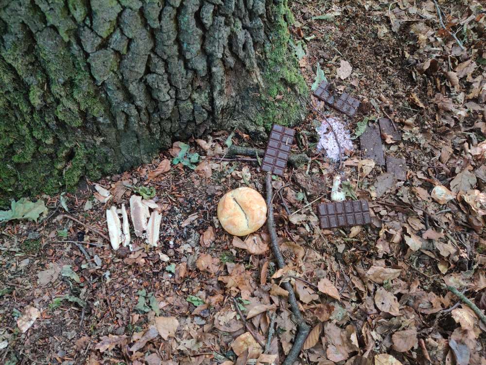 Giftköder-Vermutlich Giftköder-Profilbild