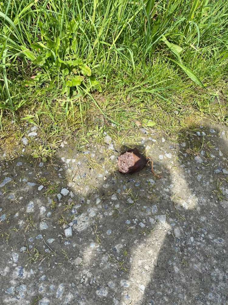 Giftköder-Evtl. Giftköder-Profilbild