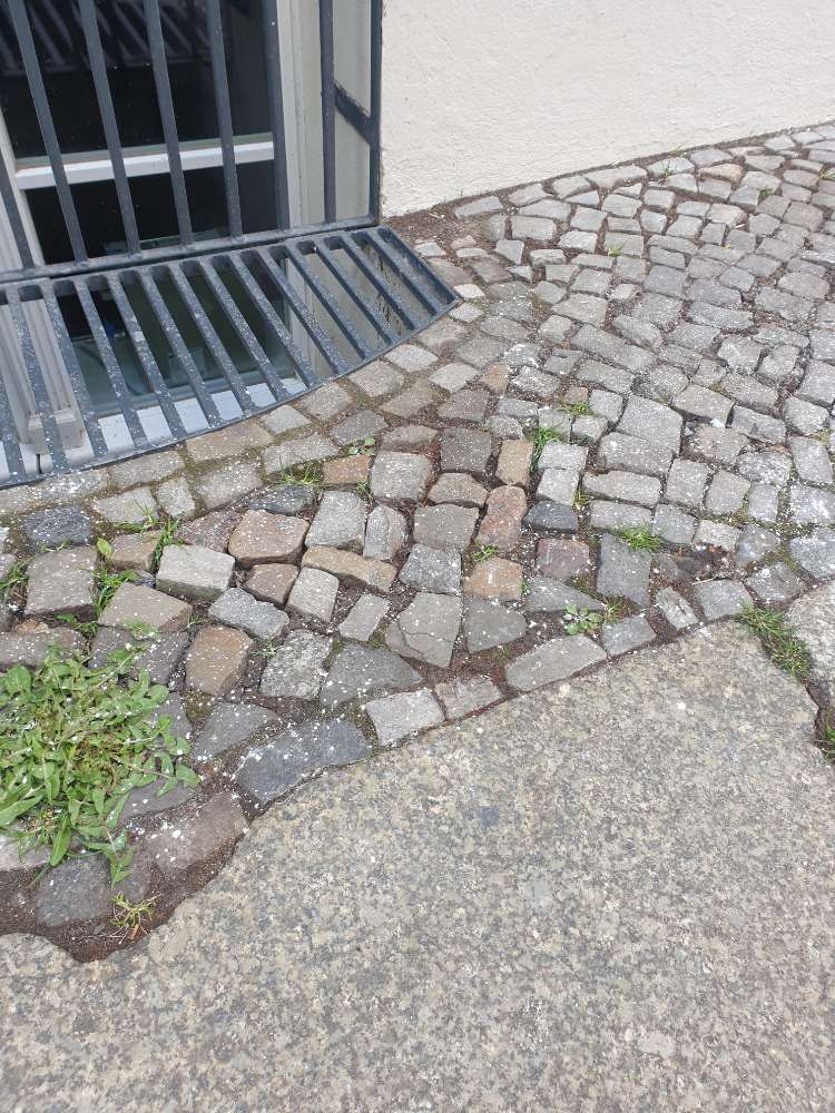 Giftköder-Weißes Pulver-Profilbild