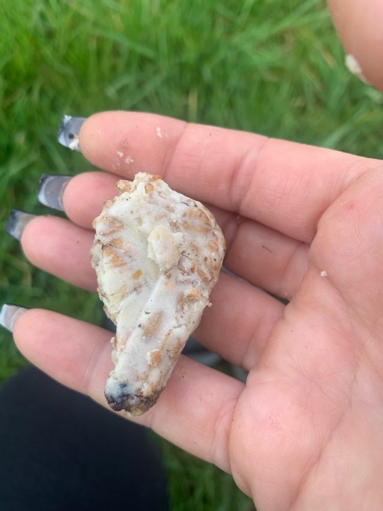 Giftköder-Evtl Köder-Profilbild