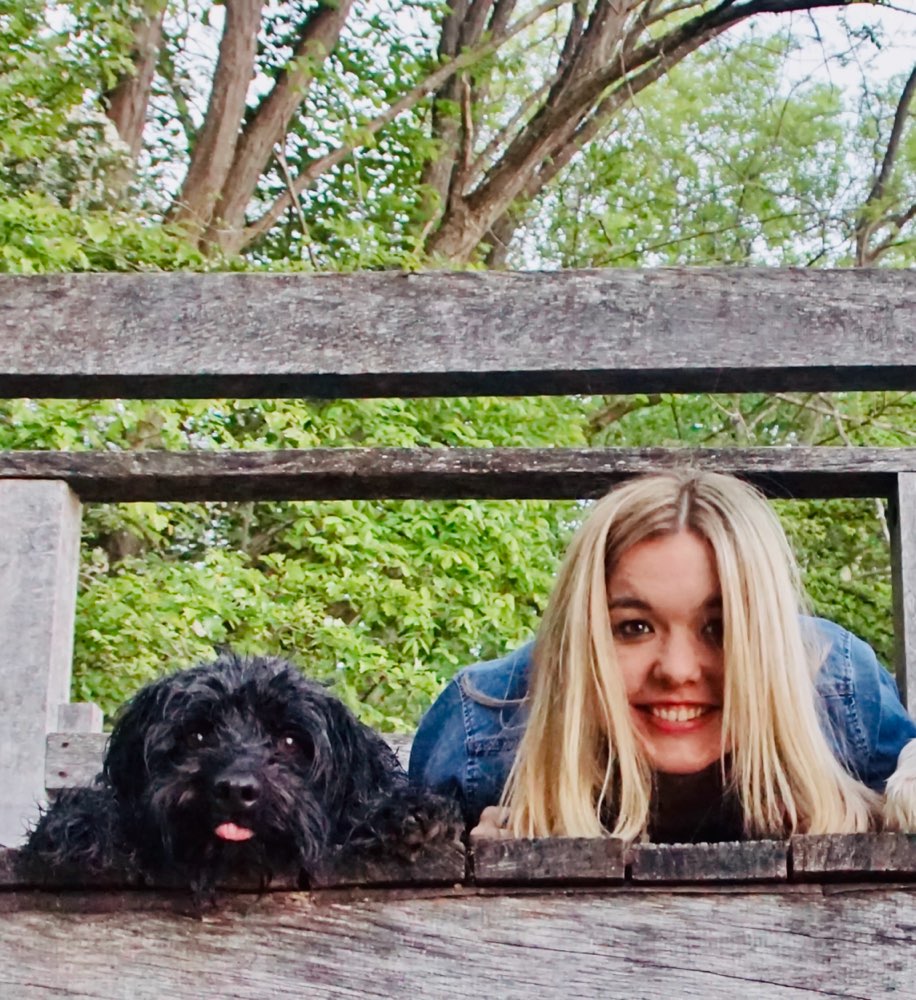 Hundetreffen-Gemeinsame Gassirunden-Profilbild