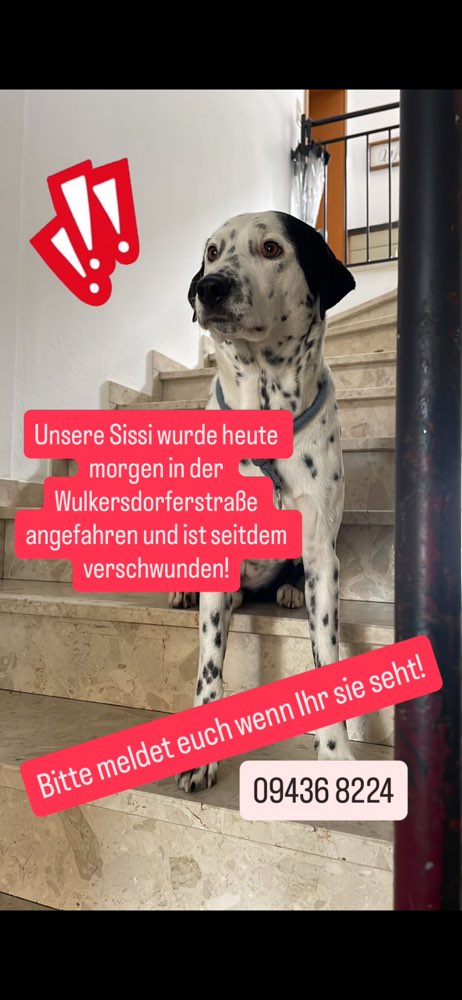 Suchmeldung-Sissi-Profilbild