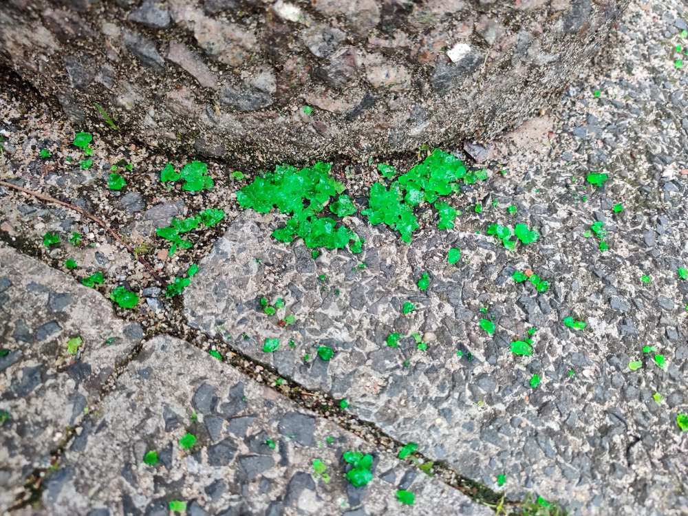 Giftköder-Leuchtend grünes Granulat OHNE Futter-Profilbild