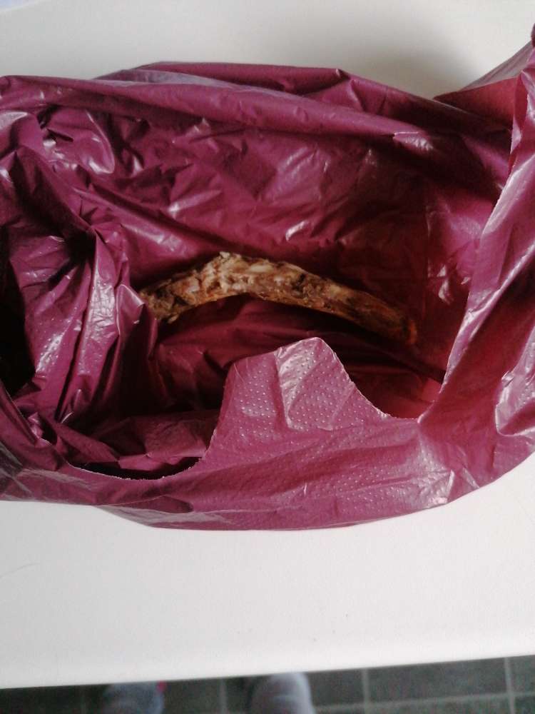 Giftköder-Knochen liegen im Sportpark aus-Profilbild