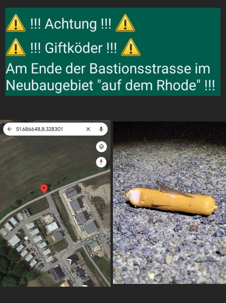 Giftköder-Giftköder-Profilbild