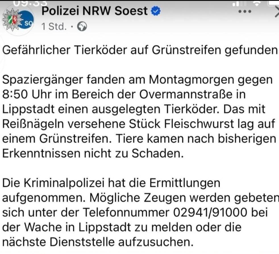 Giftköder-Fleischwurst mit Reißnägeln-Profilbild