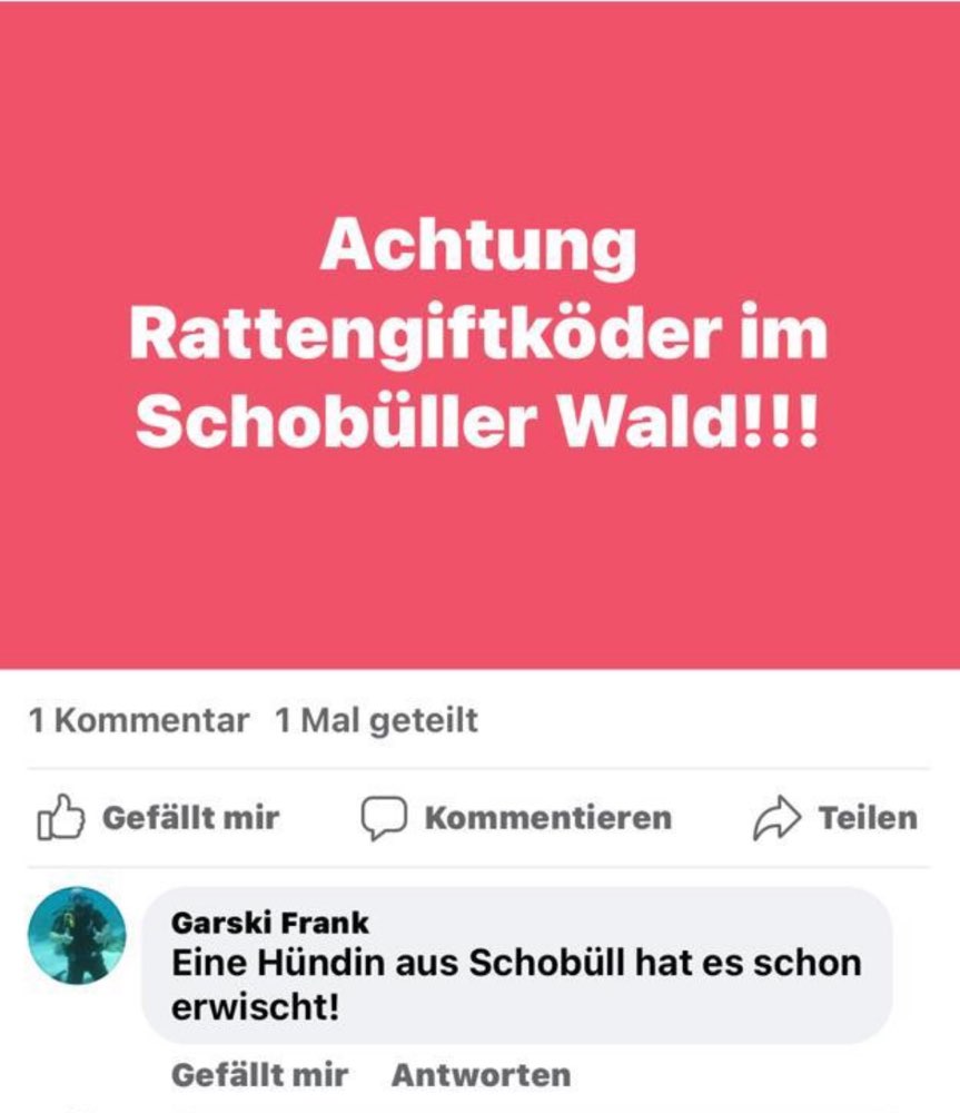 Giftköder-Rattengift Köder im Schobüller Wald-Profilbild