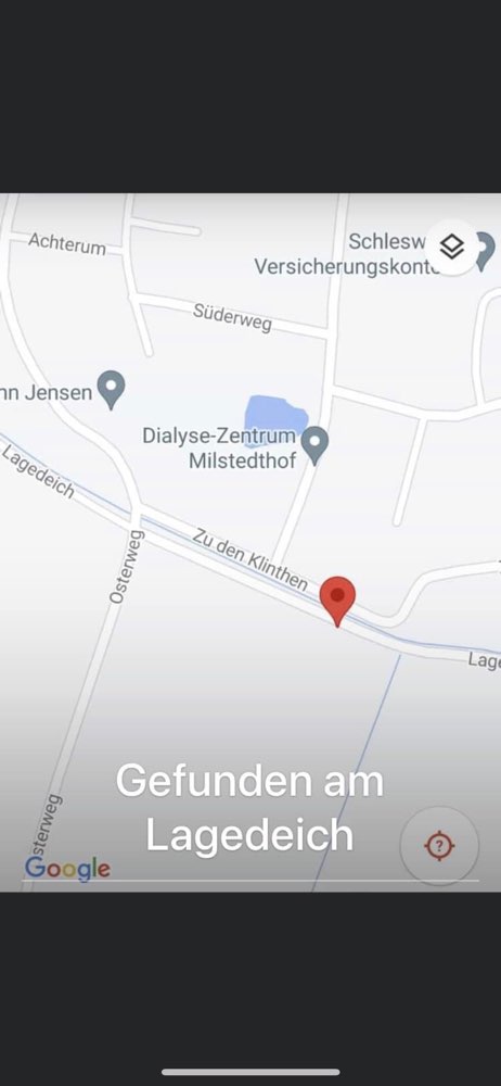 Giftköder-Fleischbällchen mit Nägeln und Schrauben-Profilbild