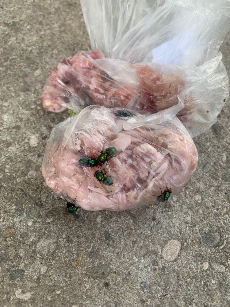 Giftköder-Giftköder --> Fleisch im Beutel-Profilbild