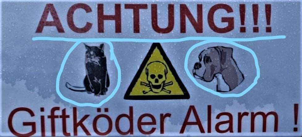 Giftköder-Giftköder mit Nägeln-Profilbild