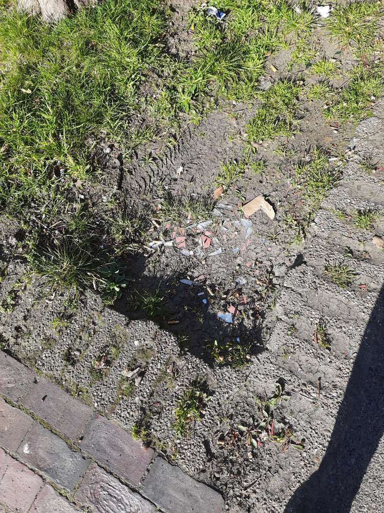 Giftköder-Glasscherben in der Erde-Profilbild