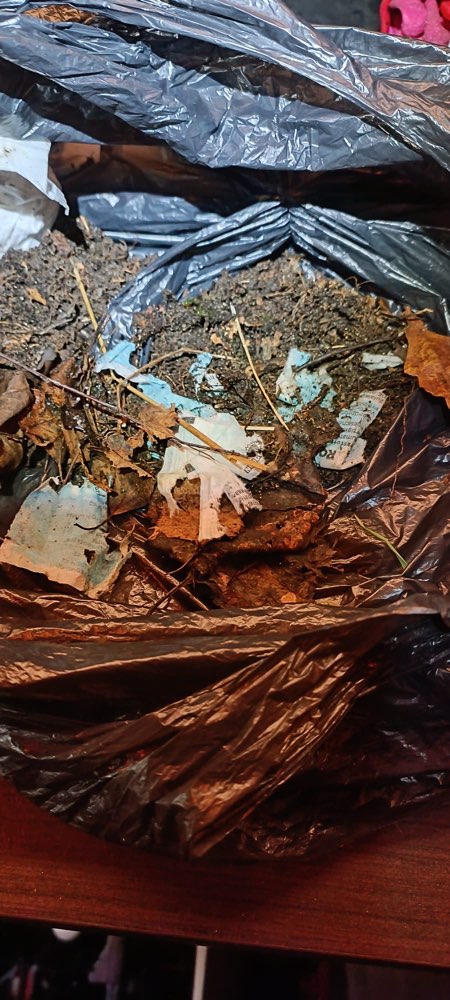 Giftköder-Rattengift-Profilbild