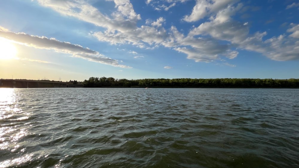 Giftköder-Blaualgen im Stausee-Profilbild