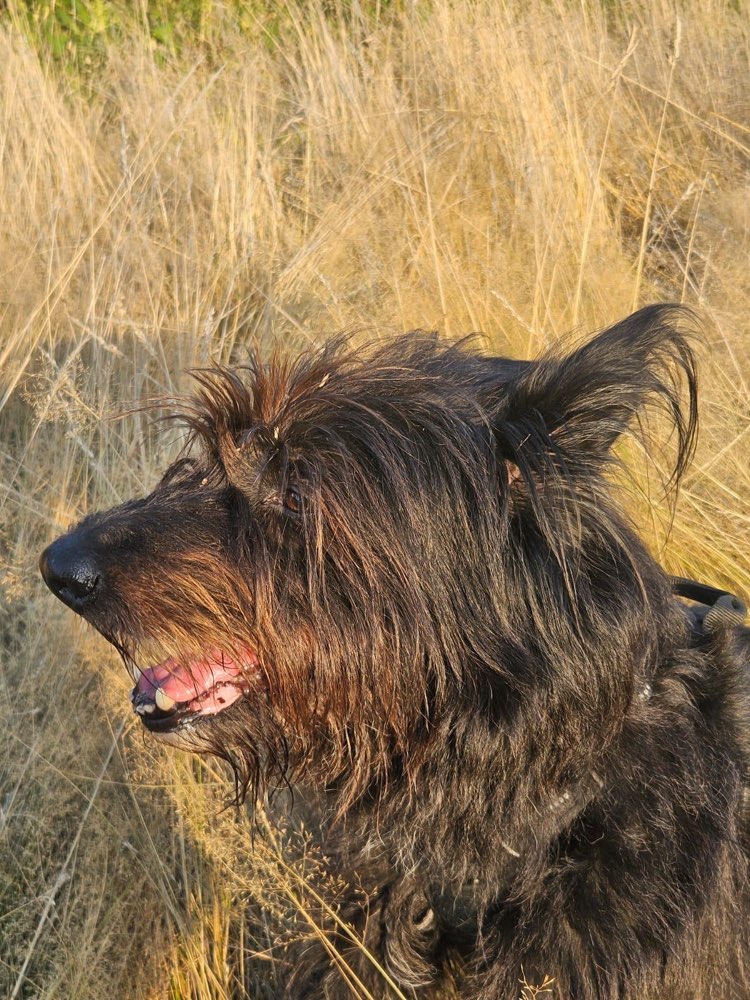 Suchmeldung-Emma-Profilbild