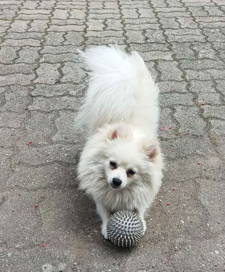 Suchmeldung-Ciorny-Profilbild