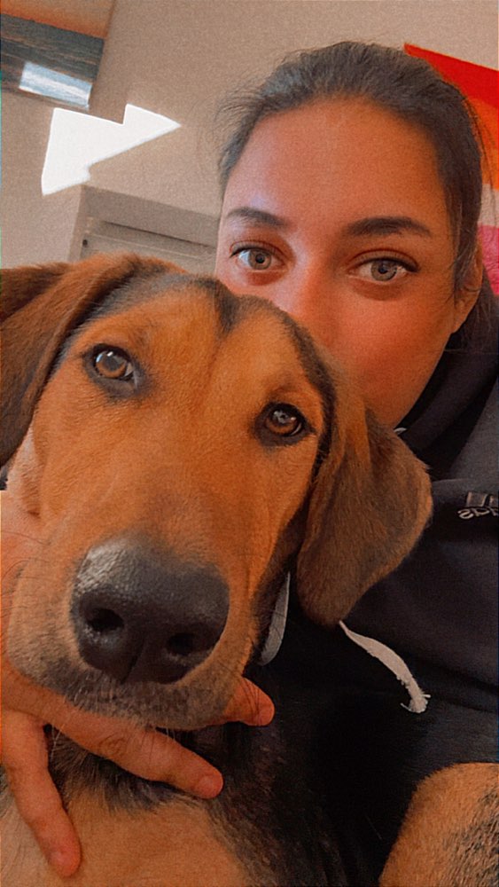 Hundetreffen-Hunde treffen-Profilbild