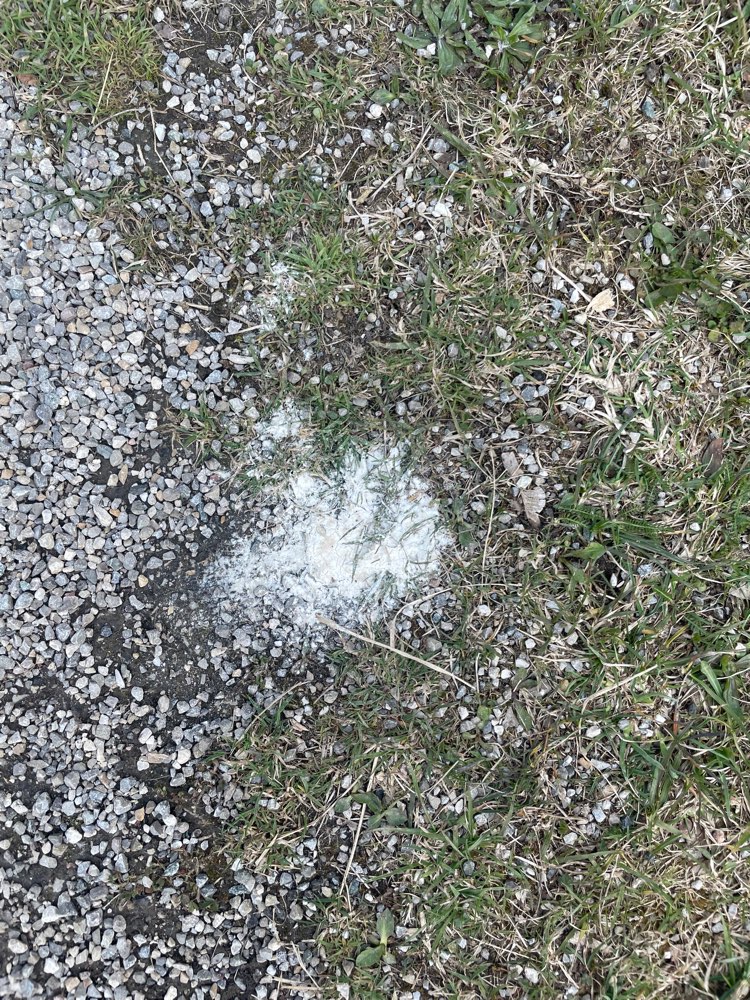 Giftköder-Weißes Pulver-Profilbild