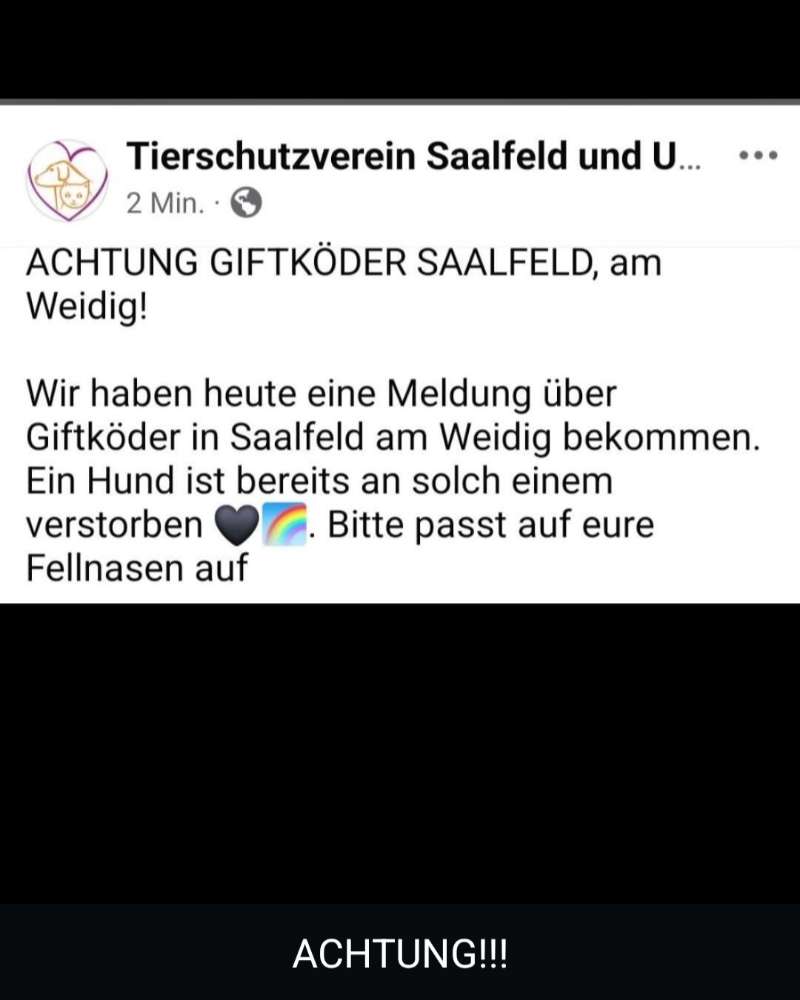 Giftköder-Giftköder-Profilbild