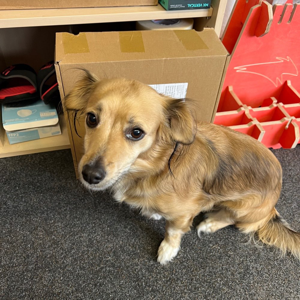 Suchmeldung-Lotti-Profilbild