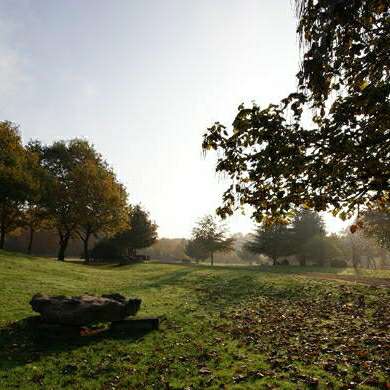 Hundetreffen-Spazieren gehen in Duisburg mattlerbusch.-Profilbild