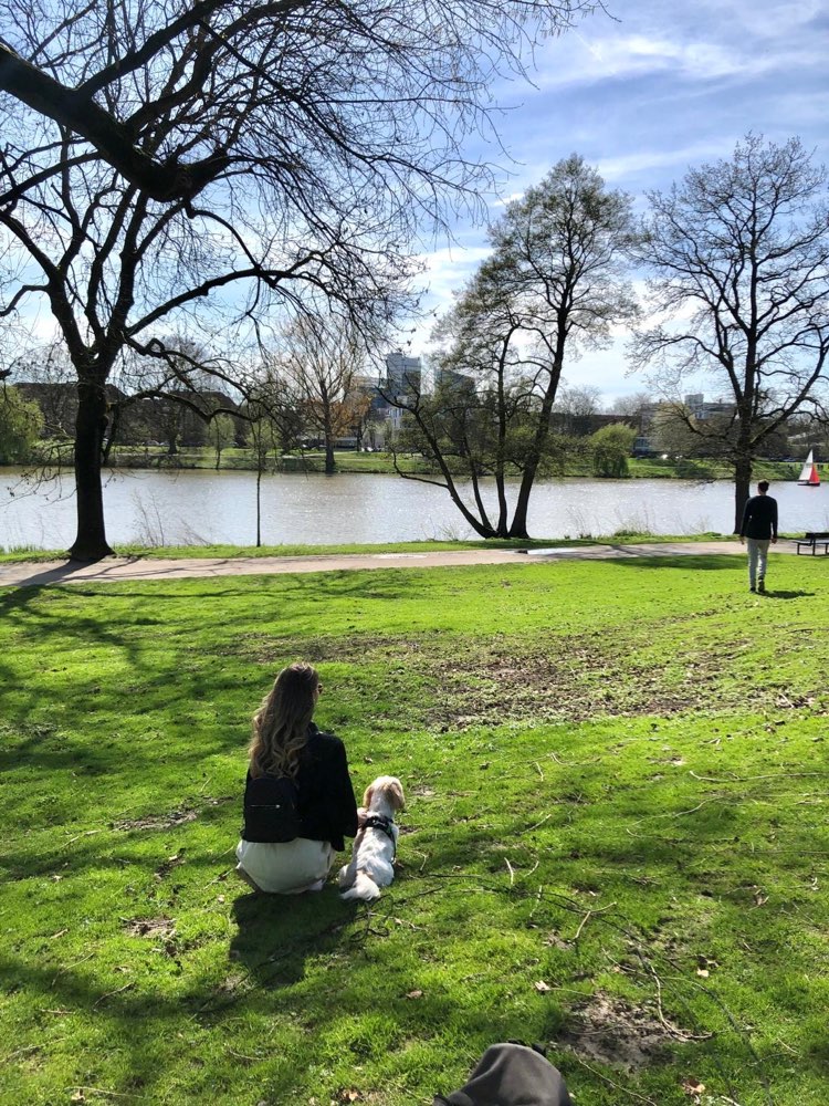 Hundetreffen-Größere Hunde gesucht 🫶🏼-Profilbild