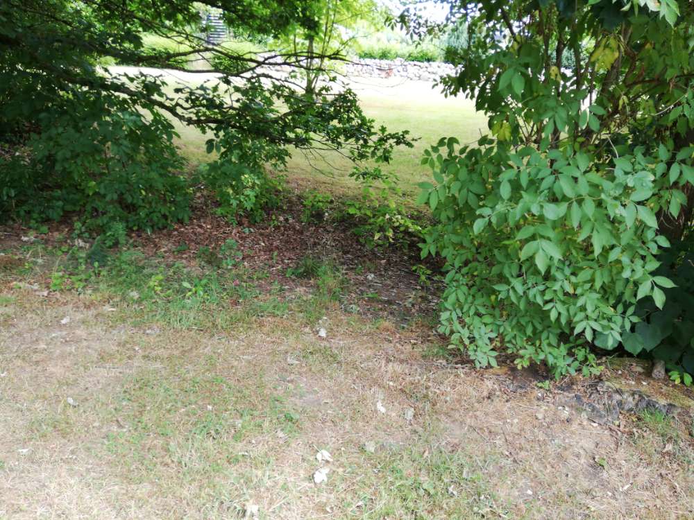 Giftköder-Gekochtes Hühnchen - eventuell präparierte-Profilbild