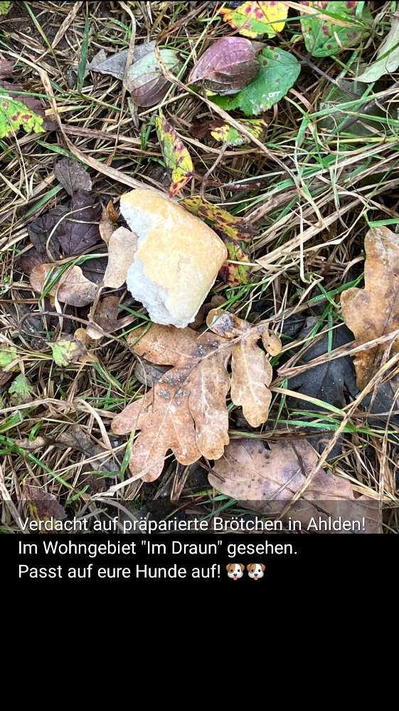 Giftköder-Verdacht auf Giftköder-Profilbild