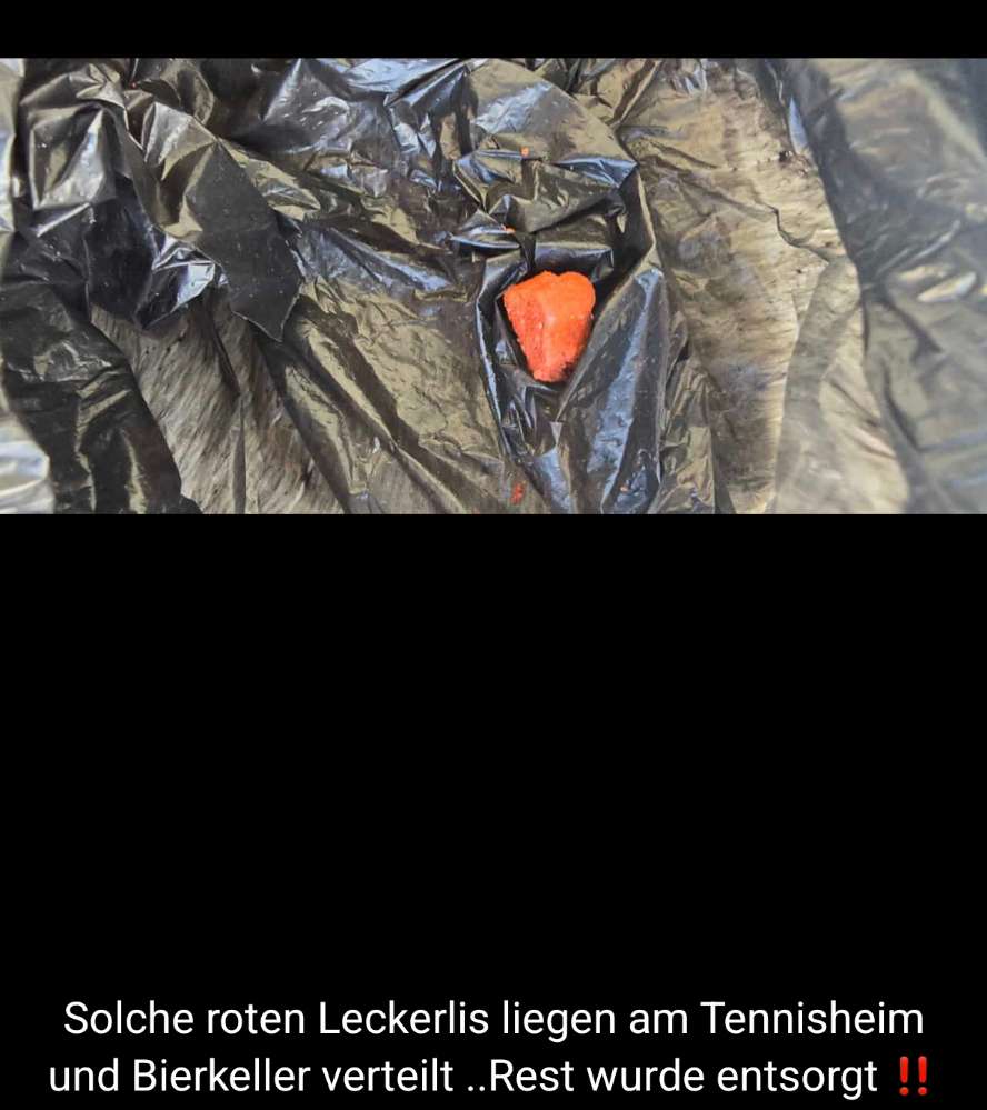 Giftköder-Giftköder-Profilbild