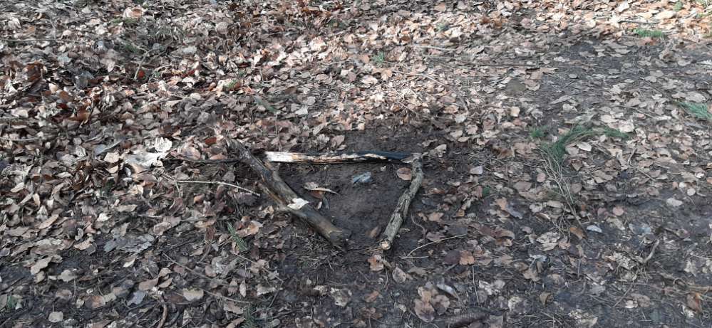 Giftköder-Scharfkantiges Metallrohr im Wald-Profilbild