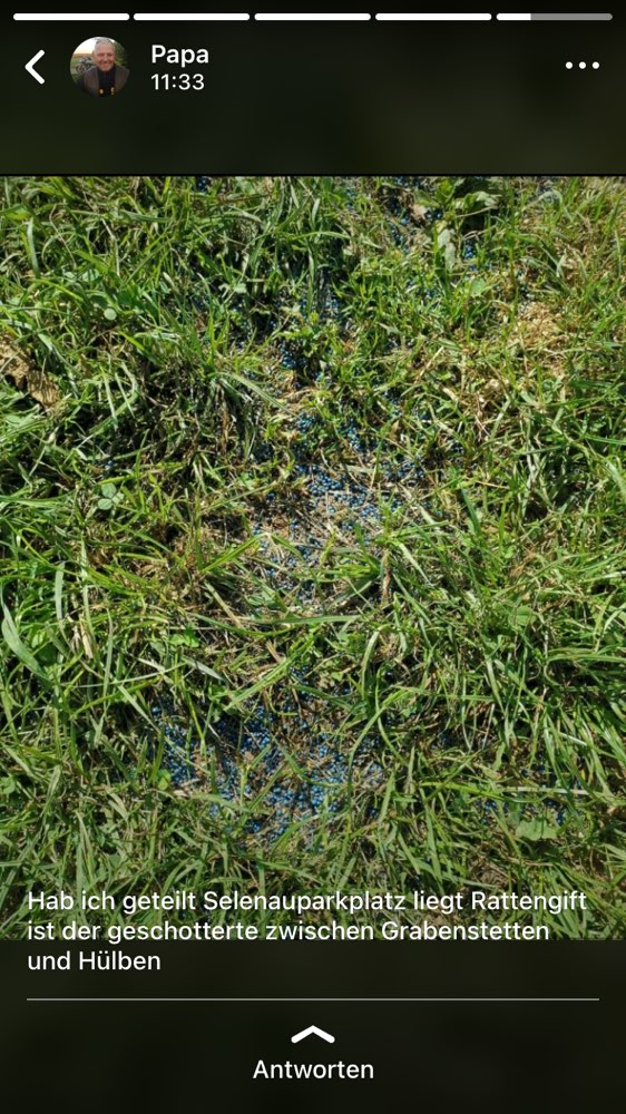 Giftköder-Rattengift an Parkplatz Selenau-Profilbild
