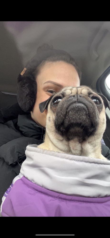 Hundetreffen-Treffen für Mops und andere kleine Hunde bis 10 kg🐾-Profilbild