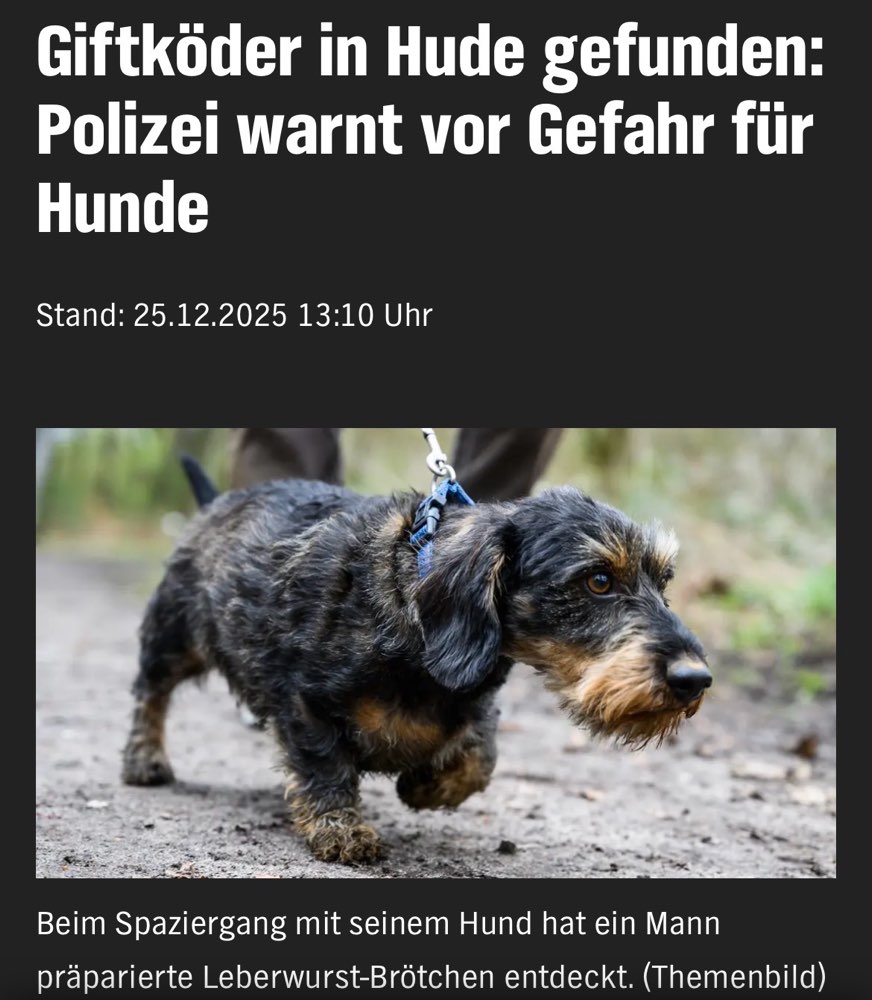 Giftköder-Giftköder (Leberwurstbrötchen)-Profilbild