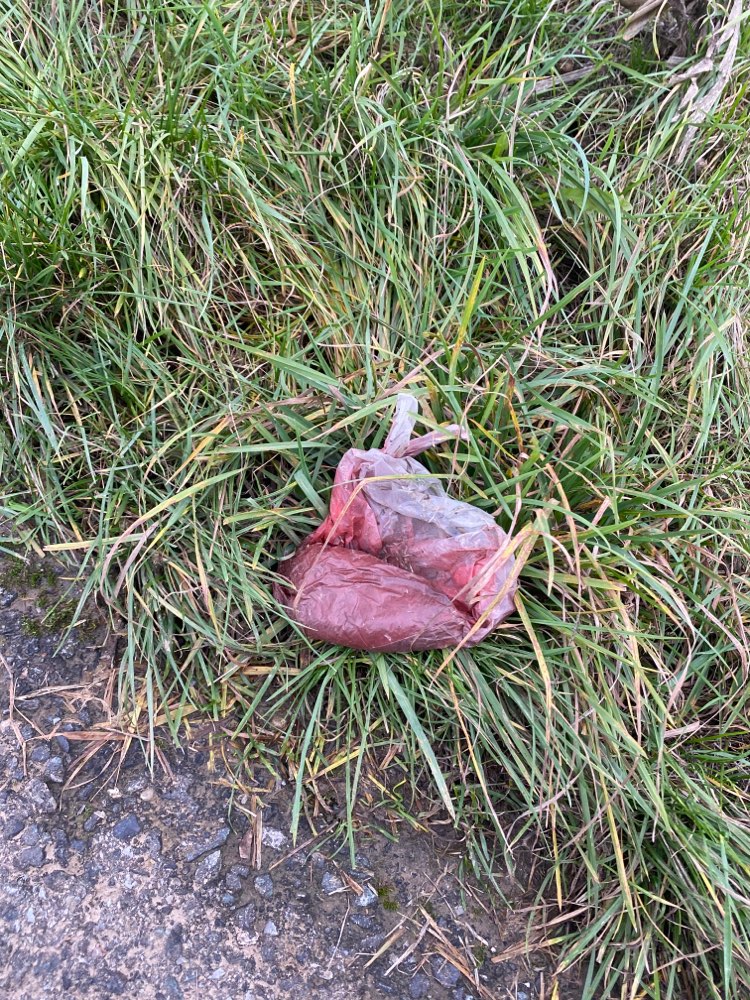 Giftköder-Potenzieller Giftköder-Profilbild