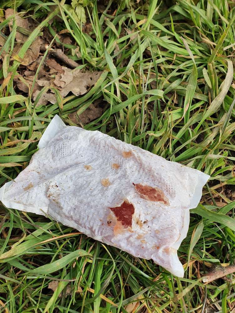 Giftköder-Ggf. Giftköder-Profilbild