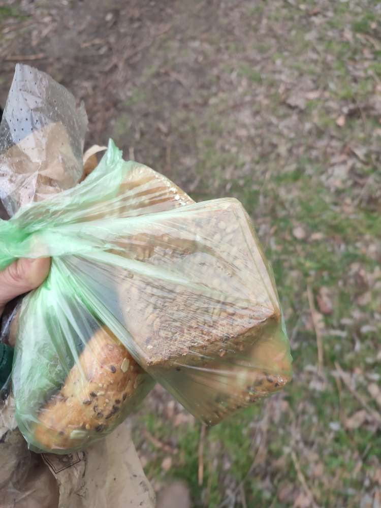 Giftköder-Ausgelegte Brötchen im Kleingartenverein-Profilbild