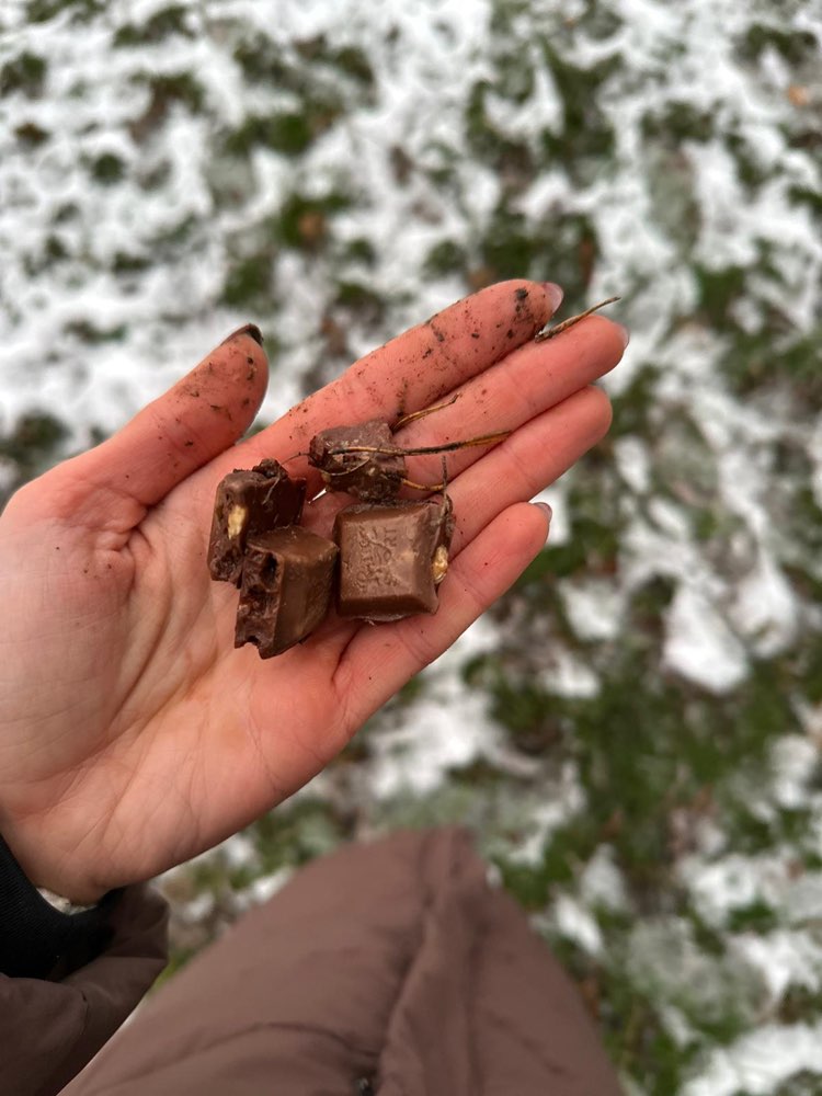 Giftköder-Schokolade mit Nuss auf Werder verteilt-Profilbild