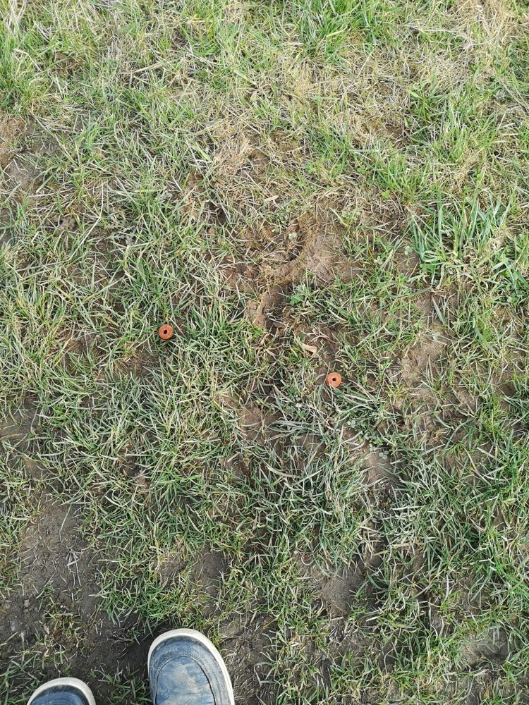 Giftköder-Eventuell Giftköder-Profilbild