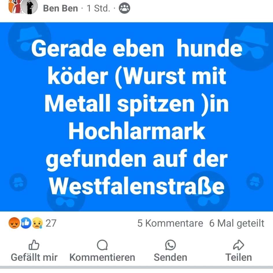 Giftköder-Wurst mir metall splitter (spritzen)-Profilbild