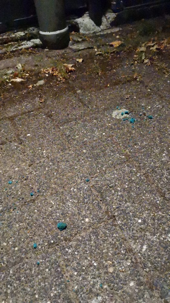 Giftköder-Rattengift-Profilbild