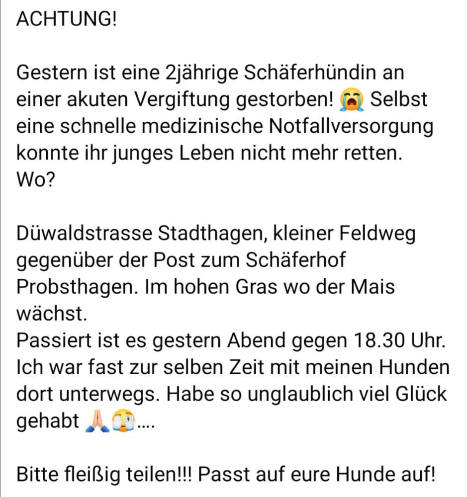 Giftköder-Giftköder-Profilbild