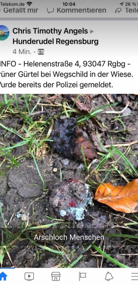 Giftköder-Giftköder Helenenstr. Regensburg-Profilbild