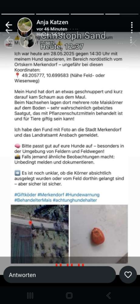 Giftköder-Gift-Profilbild