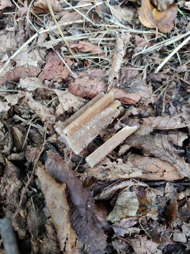 Giftköder-Dentalkaustangen liegen am Wegesrand-Profilbild