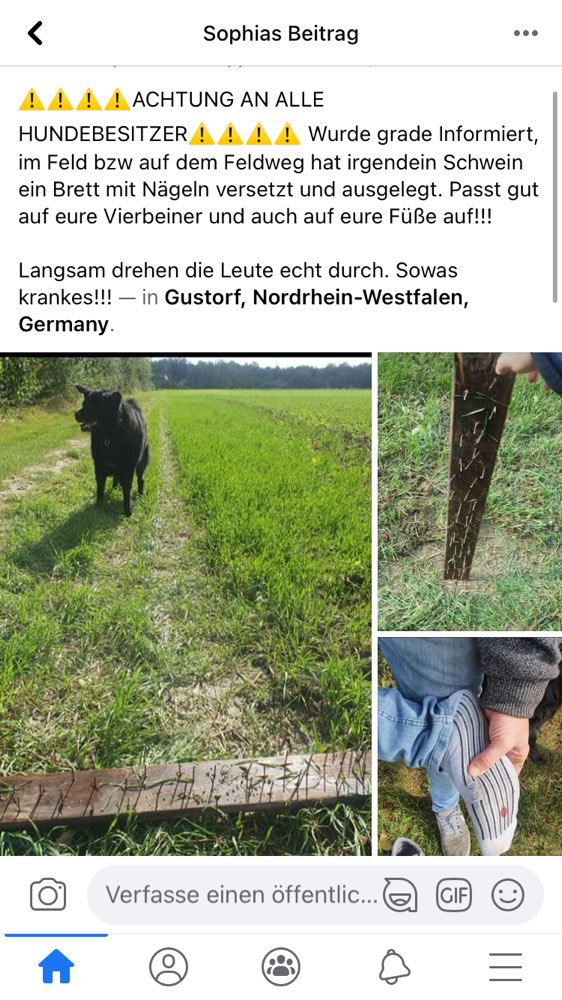 Giftköder-Bretter mit Nägeln ausgelegt!-Profilbild