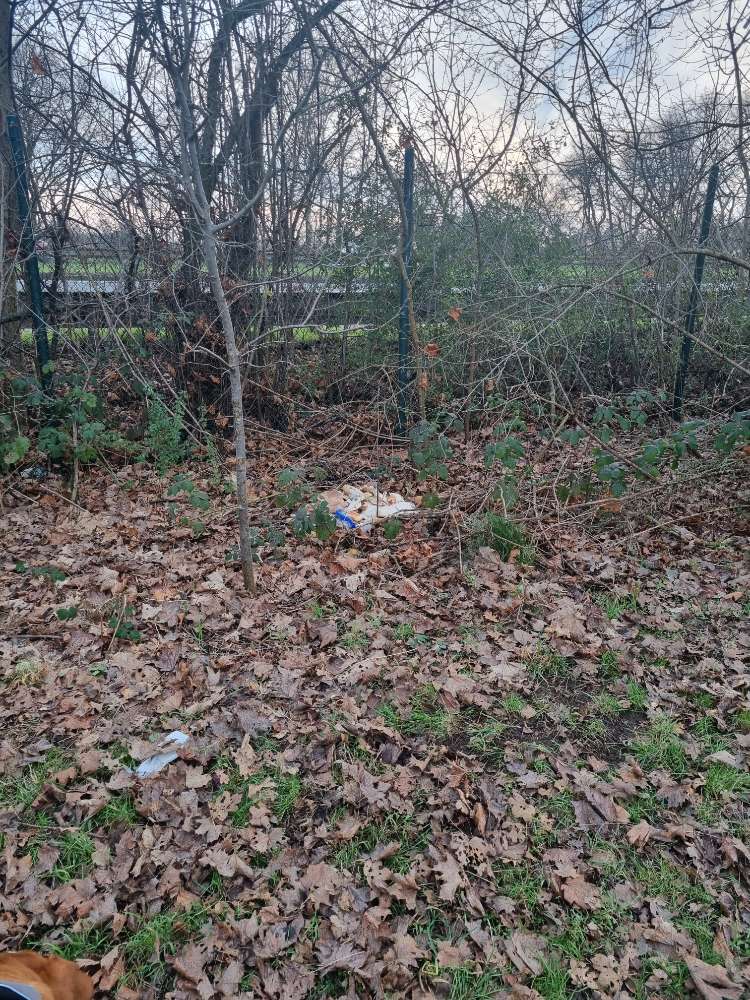 Giftköder-Essensreste-Profilbild