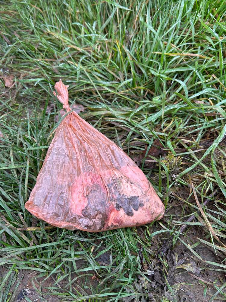 Giftköder-Giftköder-Profilbild