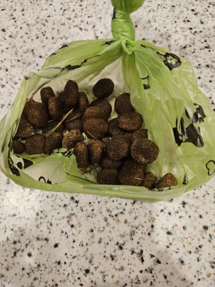 Giftköder-Leckerchen?!?-Profilbild